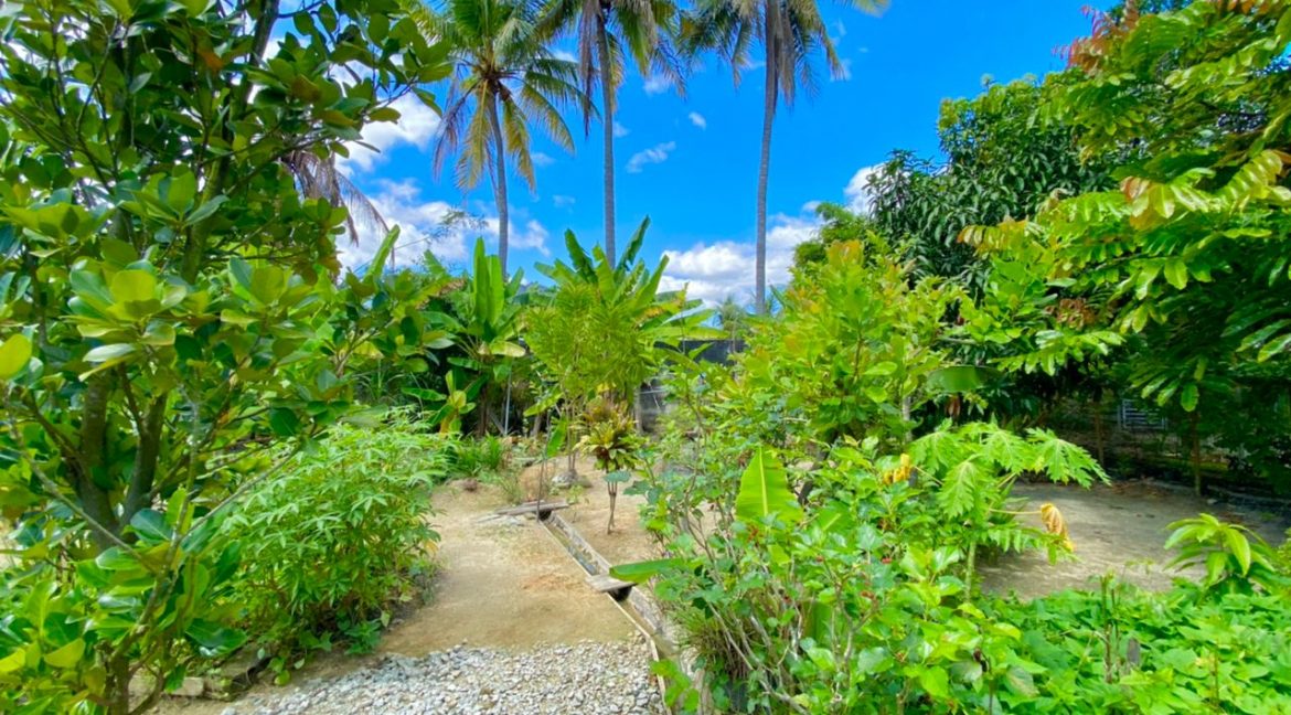 Banglo Kg Paroi - 5